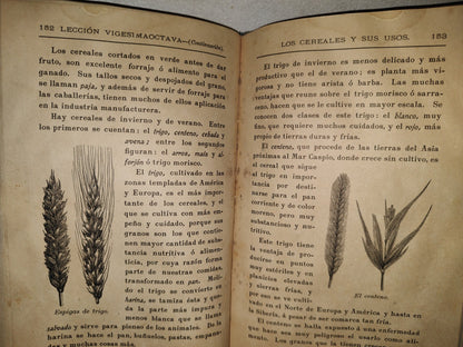 63- Antiguo Libro De Lecturas. El Lector Moderno De Appleton. Libro No. 2 - Juan García Purón - 1907