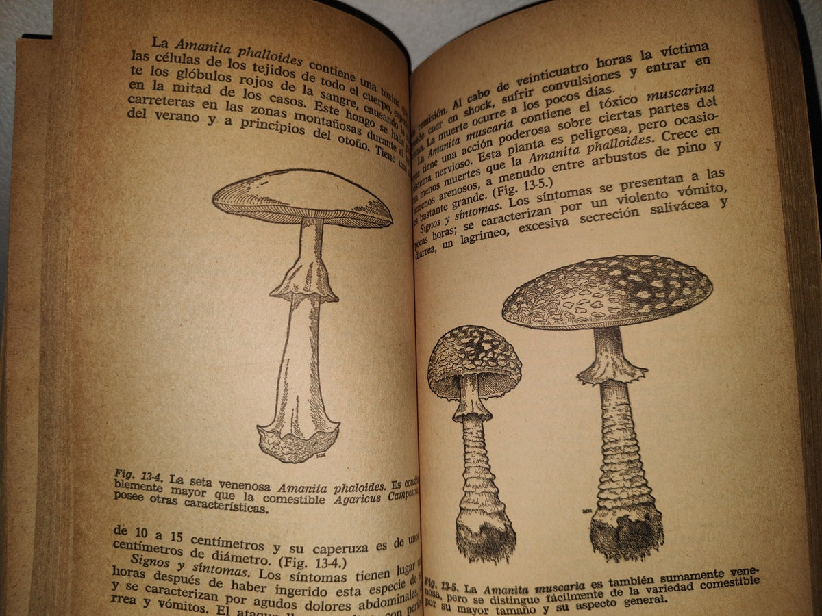124- Guía Médica De Urgencia - Jonn Henderson - Bruguera Libro Práctico - 1970
