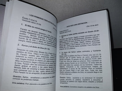 78- Pan Diario. Universidad Bíblica Fraternal