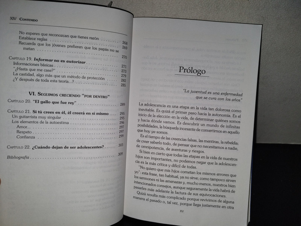 201- Profesión: Mamá De Un(a) Adolescente. La Maestría - Julia Borbolla De Niño De Rivera