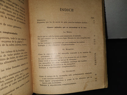 195- Estudio Experimental De Algunos De Los Animales - Juan Palau Vera - 1922