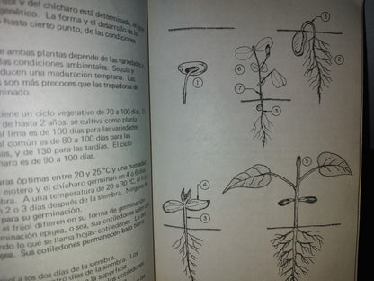 96- Frijol Y Chícharo - Manuales Para Educación Agropecuaria - Trillas