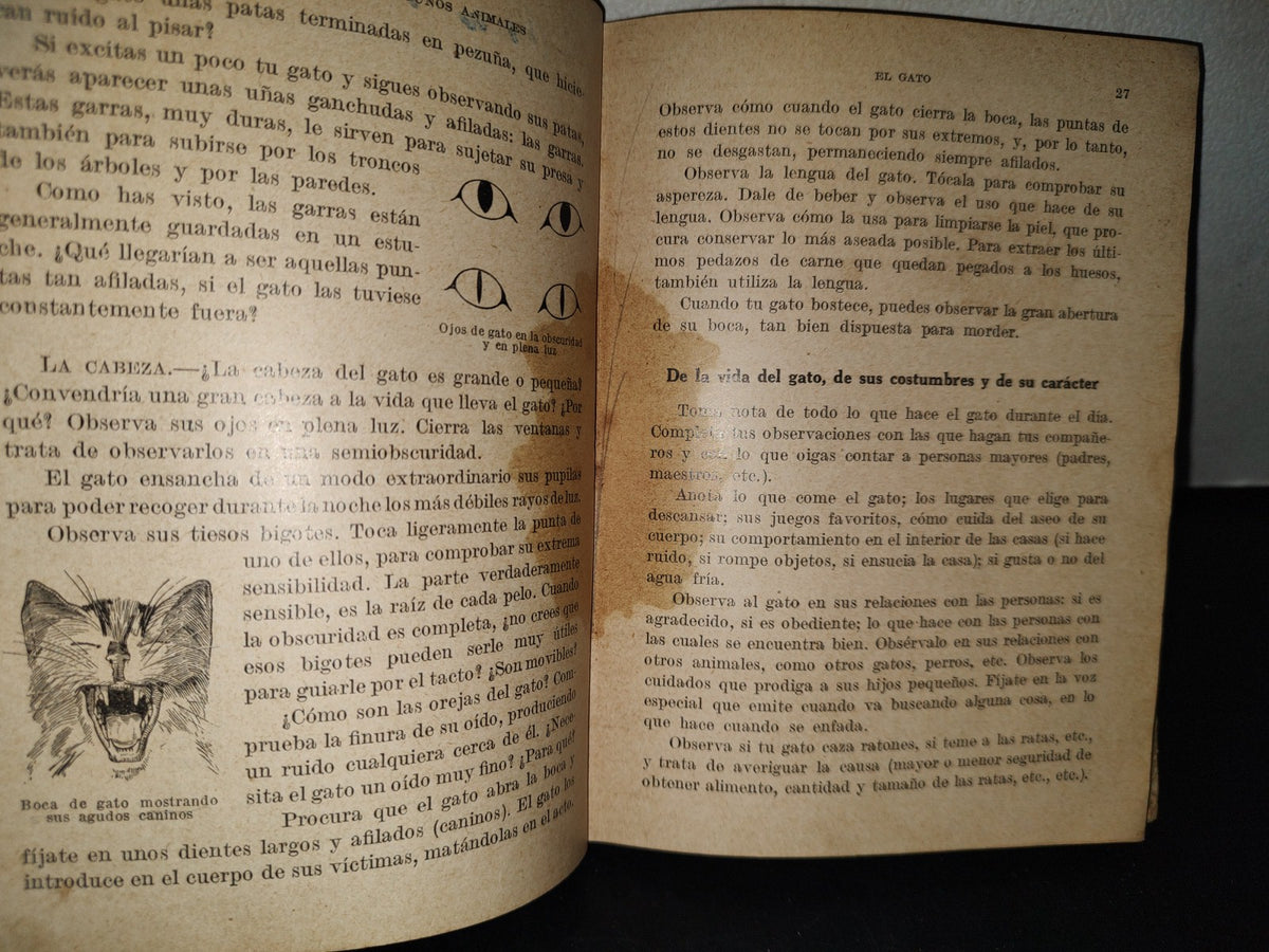 195- Estudio Experimental De Algunos De Los Animales - Juan Palau Vera - 1922