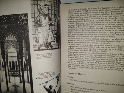 202- Literatura Española Y Mexicana - Francisco Valdés Becerril