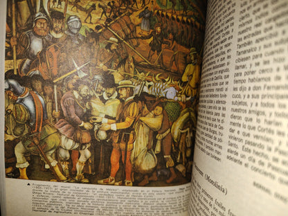 202- Literatura Española Y Mexicana - Francisco Valdés Becerril