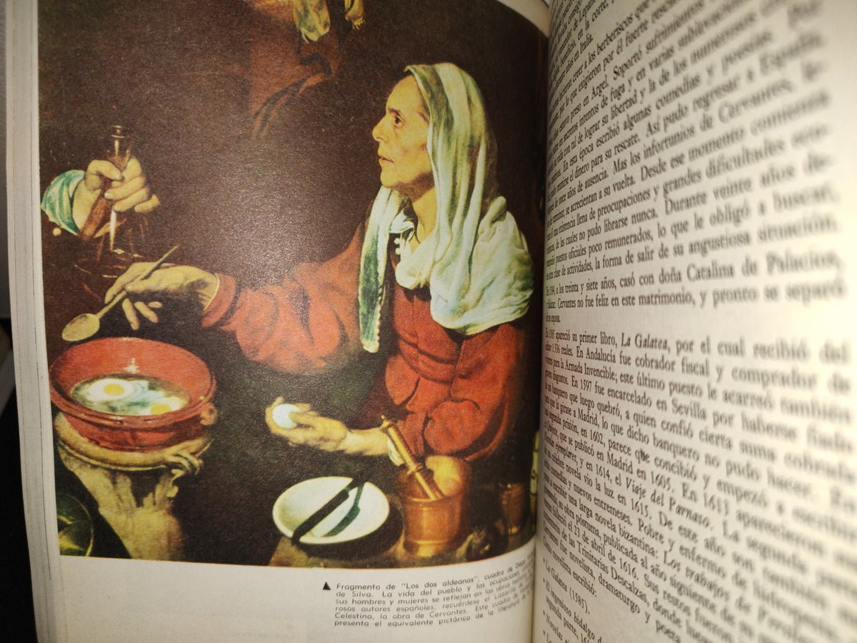 202- Literatura Española Y Mexicana - Francisco Valdés Becerril