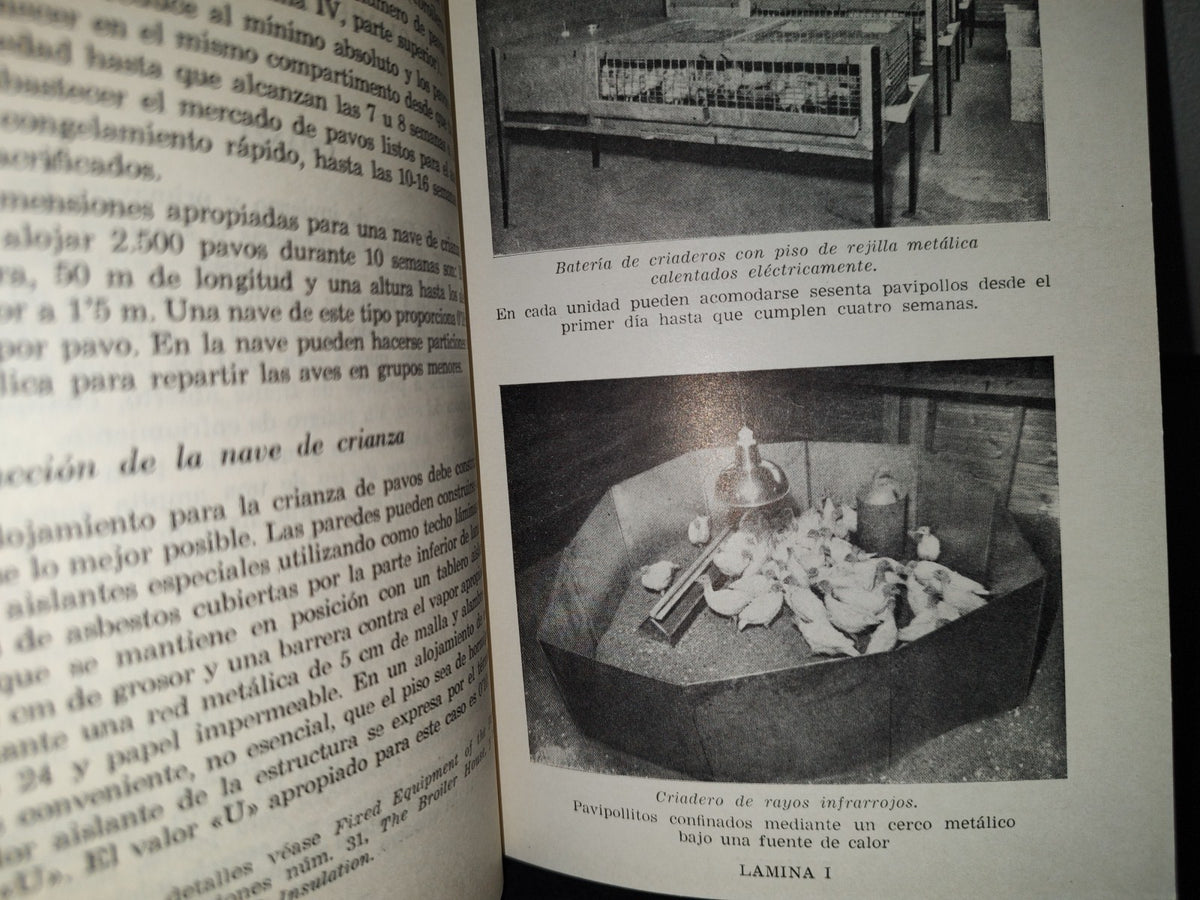 139- Pavos Para Carne. Producción Comercial Y Selección Genética - Ray Fletwell - Editorial Acribia, 1973