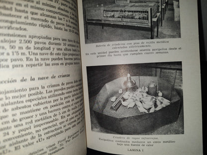 139- Pavos Para Carne. Producción Comercial Y Selección Genética - Ray Fletwell - Editorial Acribia, 1973