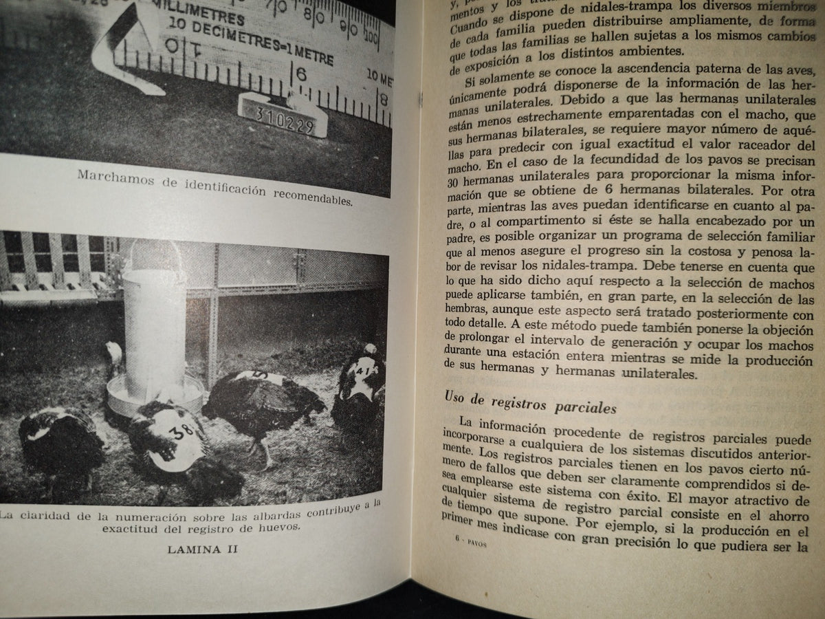 139- Pavos Para Carne. Producción Comercial Y Selección Genética - Ray Fletwell - Editorial Acribia, 1973