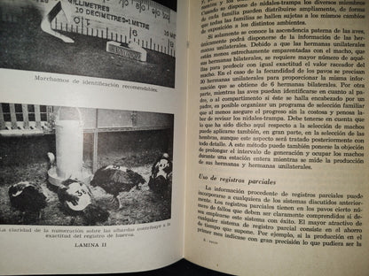 139- Pavos Para Carne. Producción Comercial Y Selección Genética - Ray Fletwell - Editorial Acribia, 1973