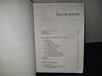 196- Introducción Al Estudio Del Derecho - Leonel Pereznieto Castro
