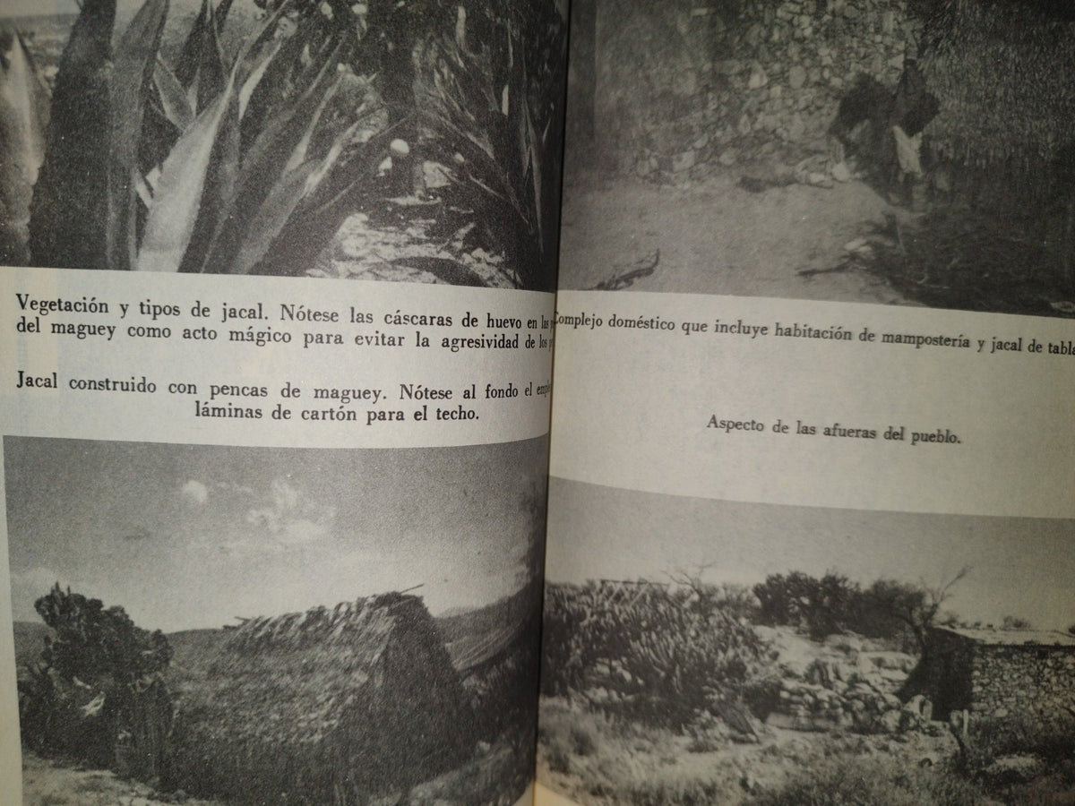 118- Vida Y Magia En Un Pueblo Otomí Del Mezquital - Luigi Tranfo - Instituto Nacional Indigenista, 1989