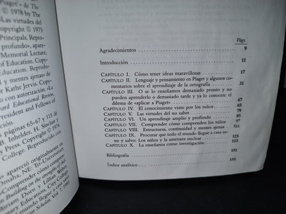 58- Cómo Tener Ideas Maravillosas Y Otros Ensayos Sobre Cómo Enseñar Y Aprender