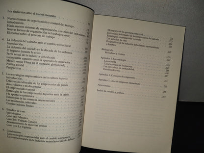 84- Estrategias De Reestructuración Productiva De Los Empresarios Tapatíos De La Industria Del Calzado - Elena De La Paz Hernández Águila - Universidad De Guadalajara - Primera Edición 2006