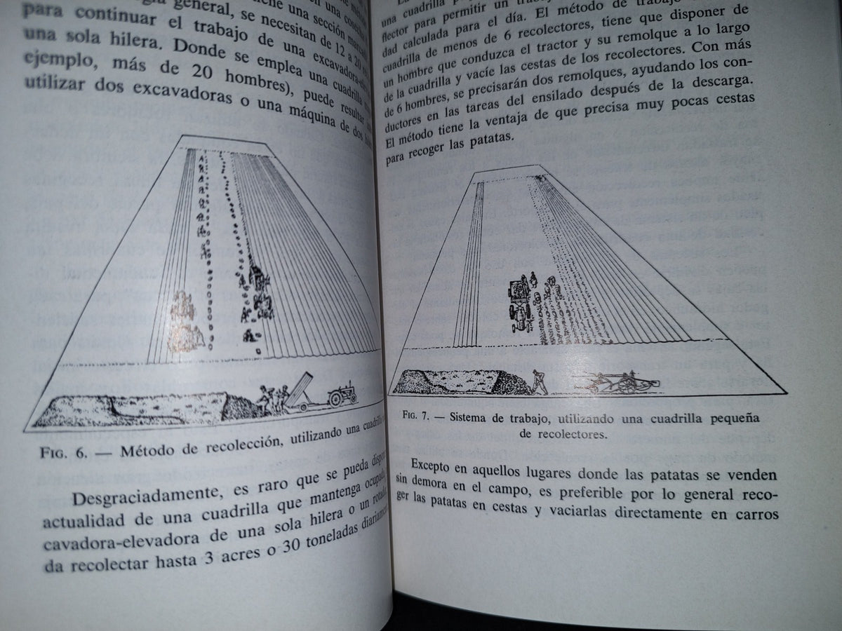 139- Producción Comercial De Patatas Y Su Almacenamiento. J. C. Cullen Y A. R. Wilson - Editorial Acribia, 1971
