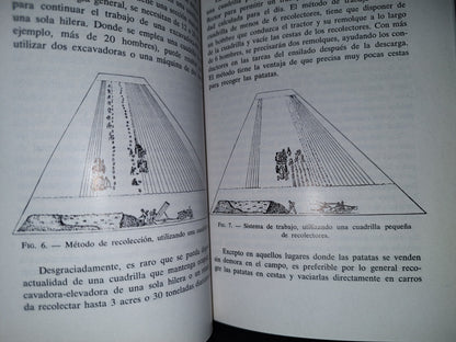 139- Producción Comercial De Patatas Y Su Almacenamiento. J. C. Cullen Y A. R. Wilson - Editorial Acribia, 1971