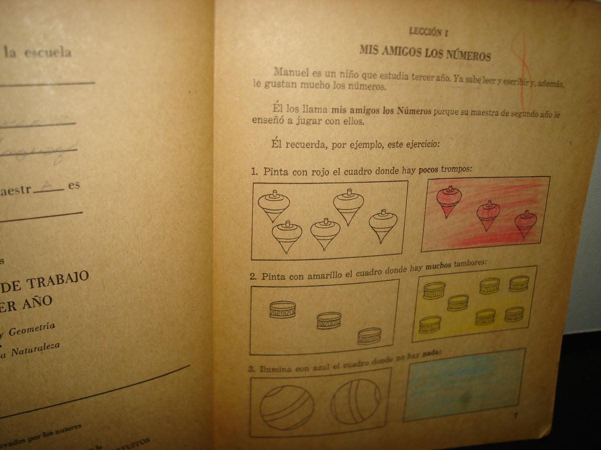 20- Mi Cuaderno De Trabajo De Tercer Año. Aritmética Y Geometría. Estudio De La Naturaleza - 1960