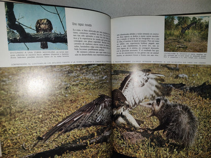 158- Colección De La Naturaleza Time Life. Las Aves - 1978