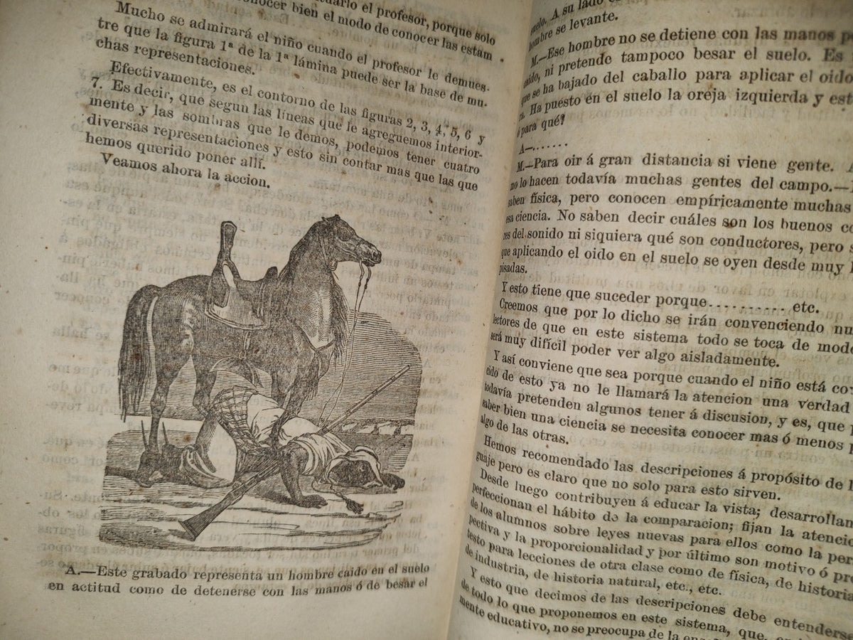 92- La Educación Moderna. Educación Intelectual. Lenguaje. México, Imprenta De Aguilar E Hijos 1882