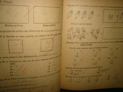 20- Mi Cuaderno De Trabajo De Tercer Año. Aritmética Y Geometría. Estudio De La Naturaleza - 1960