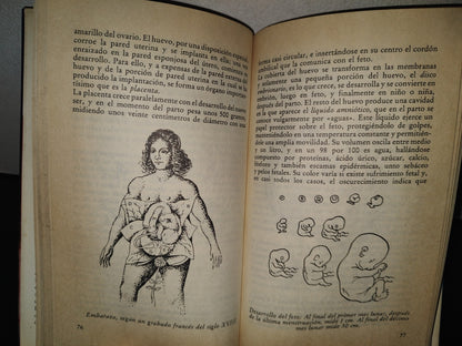 85- La Sexualidad En El Amor - Dr. W. Firkel Häring - 1979