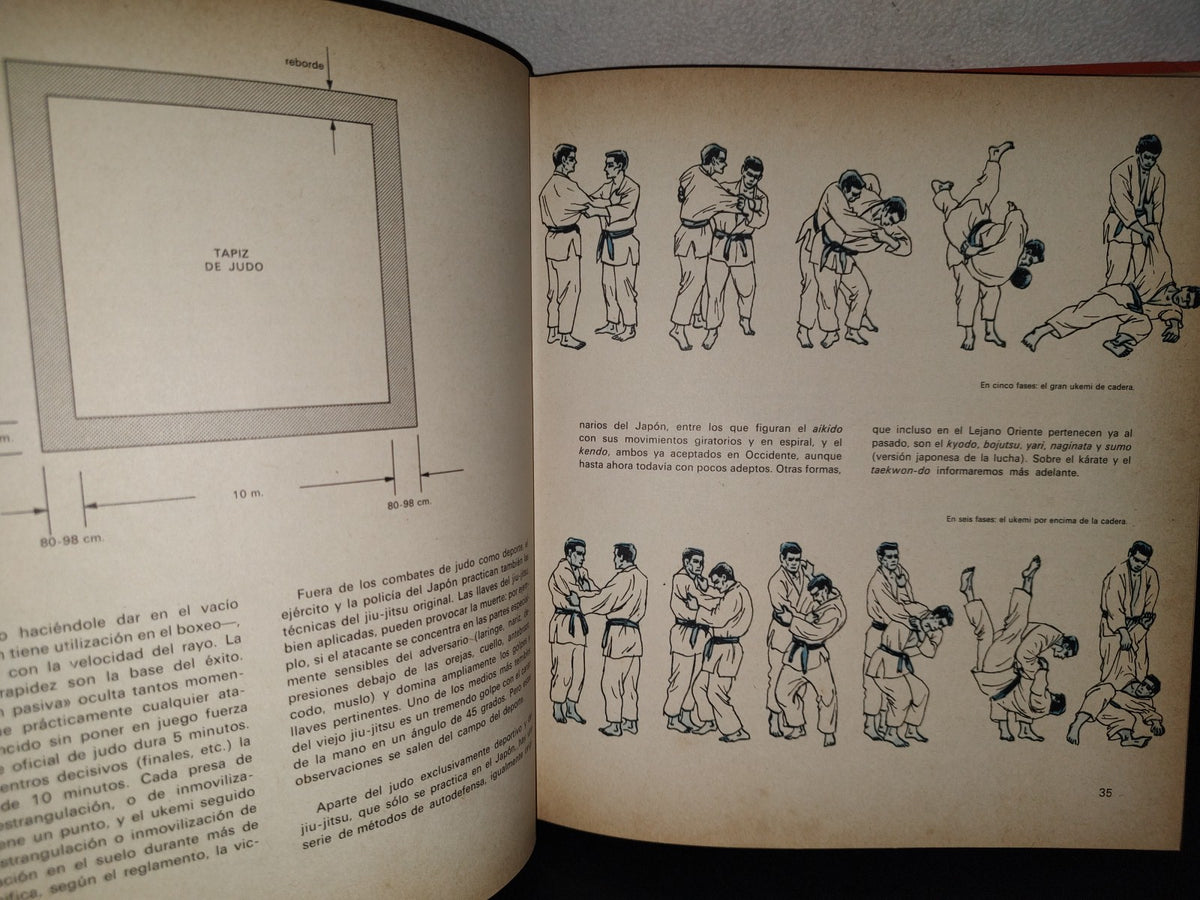 158- Everest Juvenil. Cómo Saber Todo Sobre Los Deportes - Editorial Everest - 1984