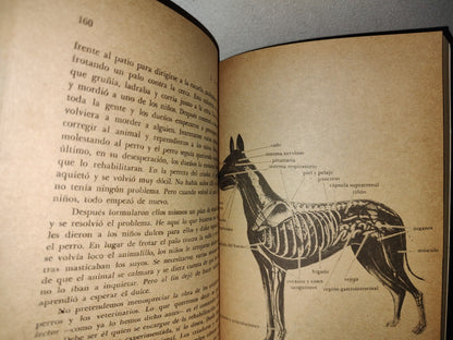 66- Libro Completo De La Educación Y Cuidado Del Perro - J. J. Mccoy