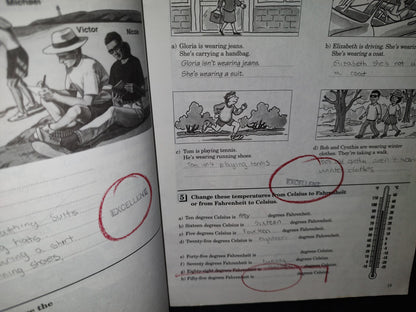 99- Interchange. English For International Communication. Intro Workbook - Jack C. Richards