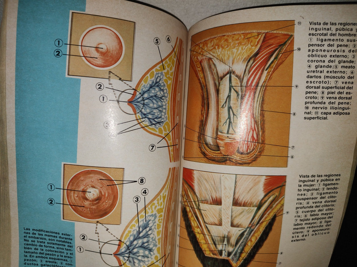 96- Enciclopedia Médica Para La Mujer - Editorial América S. A. 1980
