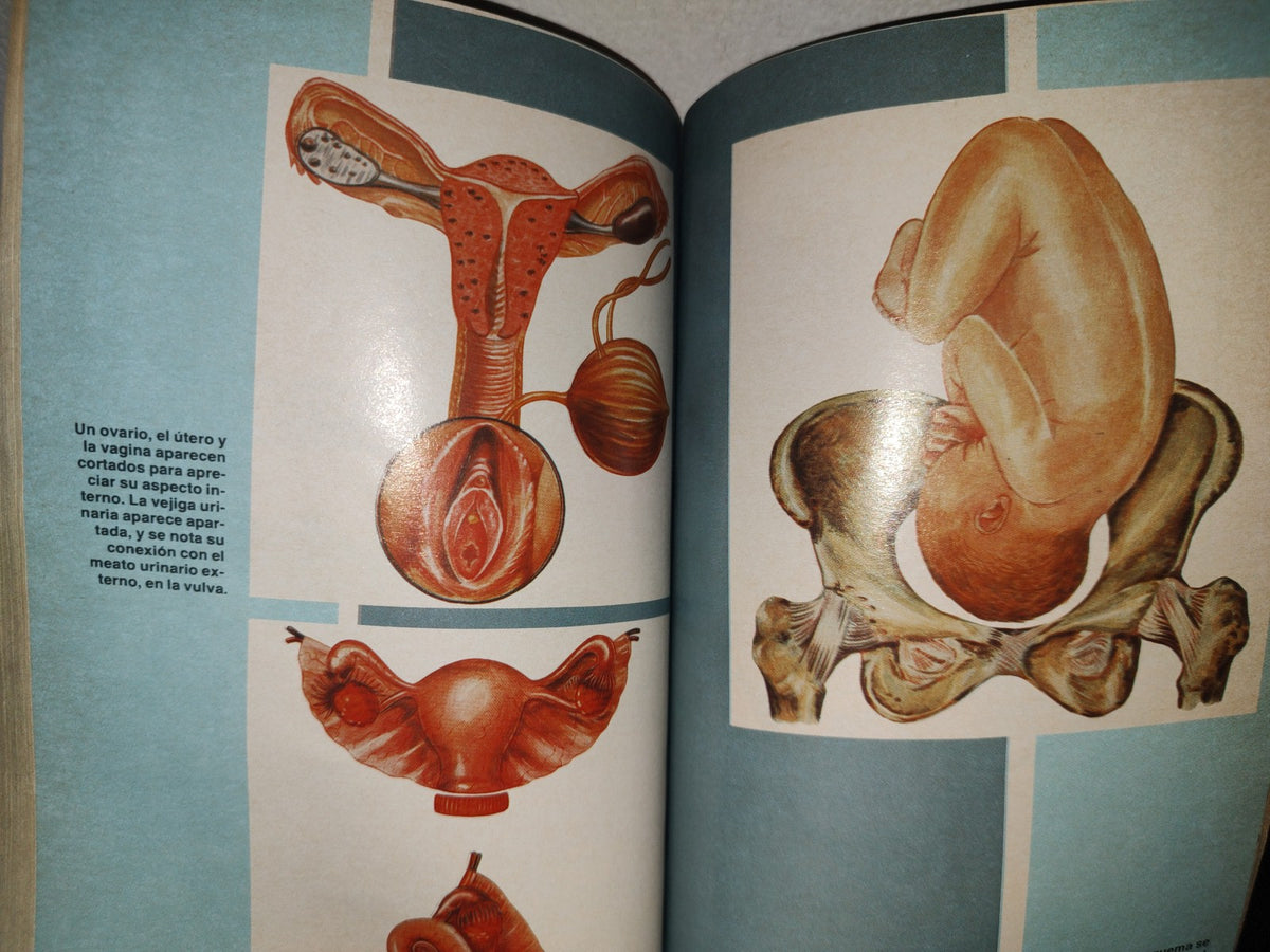 96- Enciclopedia Médica Para La Mujer - Editorial América S. A. 1980