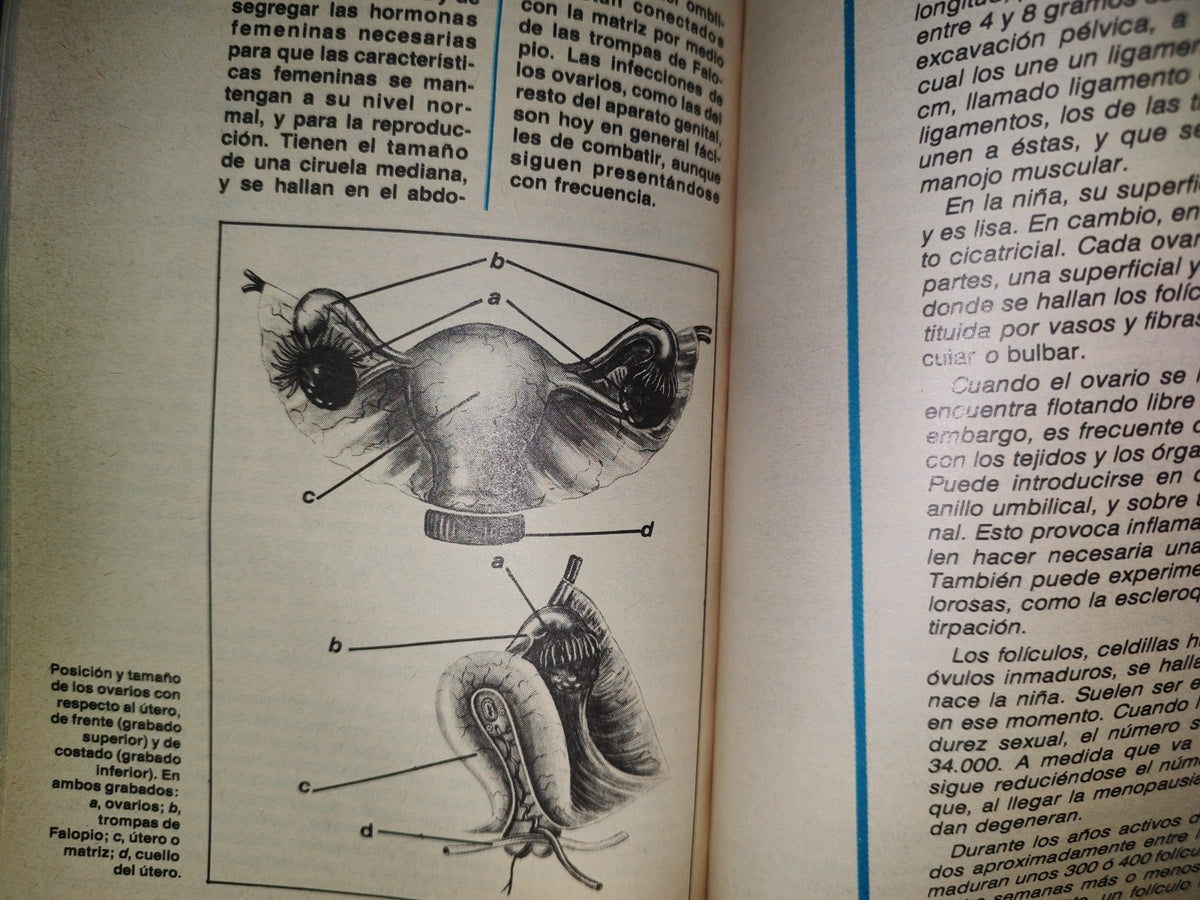 96- Enciclopedia Médica Para La Mujer - Editorial América S. A. 1980