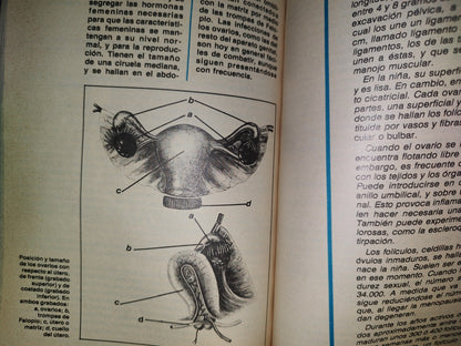 96- Enciclopedia Médica Para La Mujer - Editorial América S. A. 1980