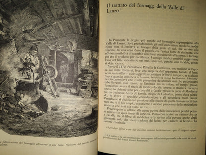 101- Storie E Luoghi Segreti Del Piemonte - Maricla Boggio - Prma Edizione: Settembre 1987