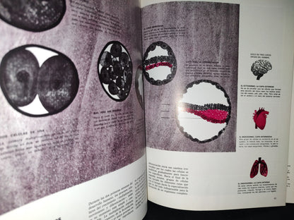 158- Colección Científica De Time Life. El Crecimiento - 1981