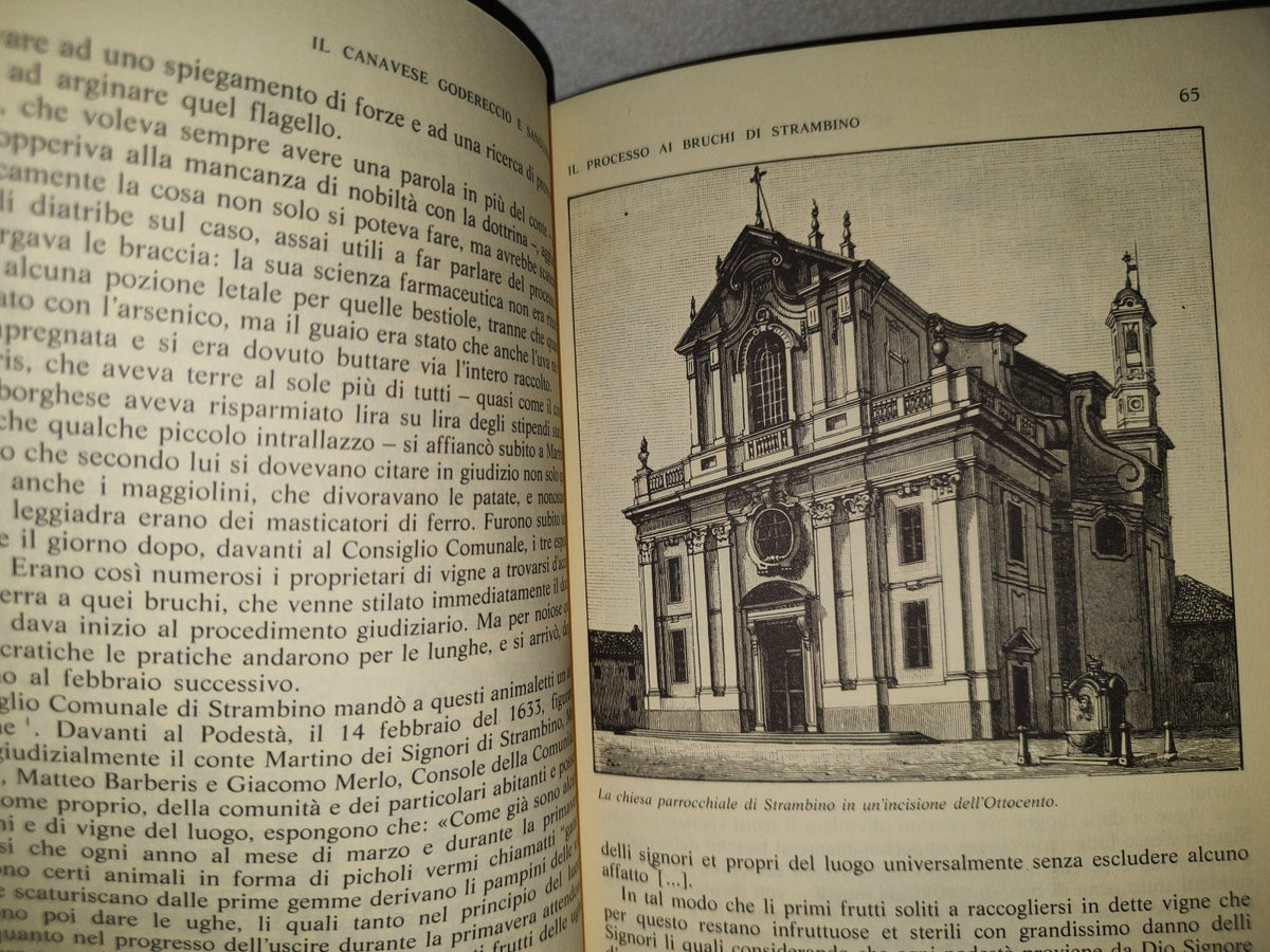 101- Storie E Luoghi Segreti Del Piemonte - Maricla Boggio - Prma Edizione: Settembre 1987