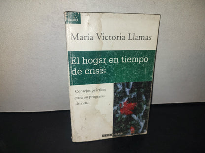 209- El Hogar En Tiempo De Crisis - María Victoria Llamas