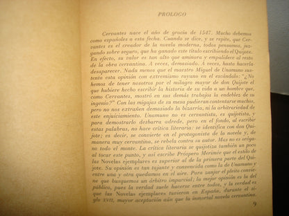 30- El Licenciado Vidriera Y Otras Novelas Ejemplares - Cervantes
