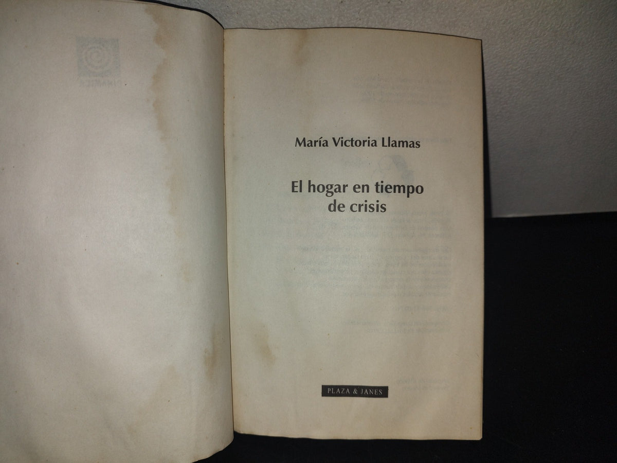 209- El Hogar En Tiempo De Crisis - María Victoria Llamas
