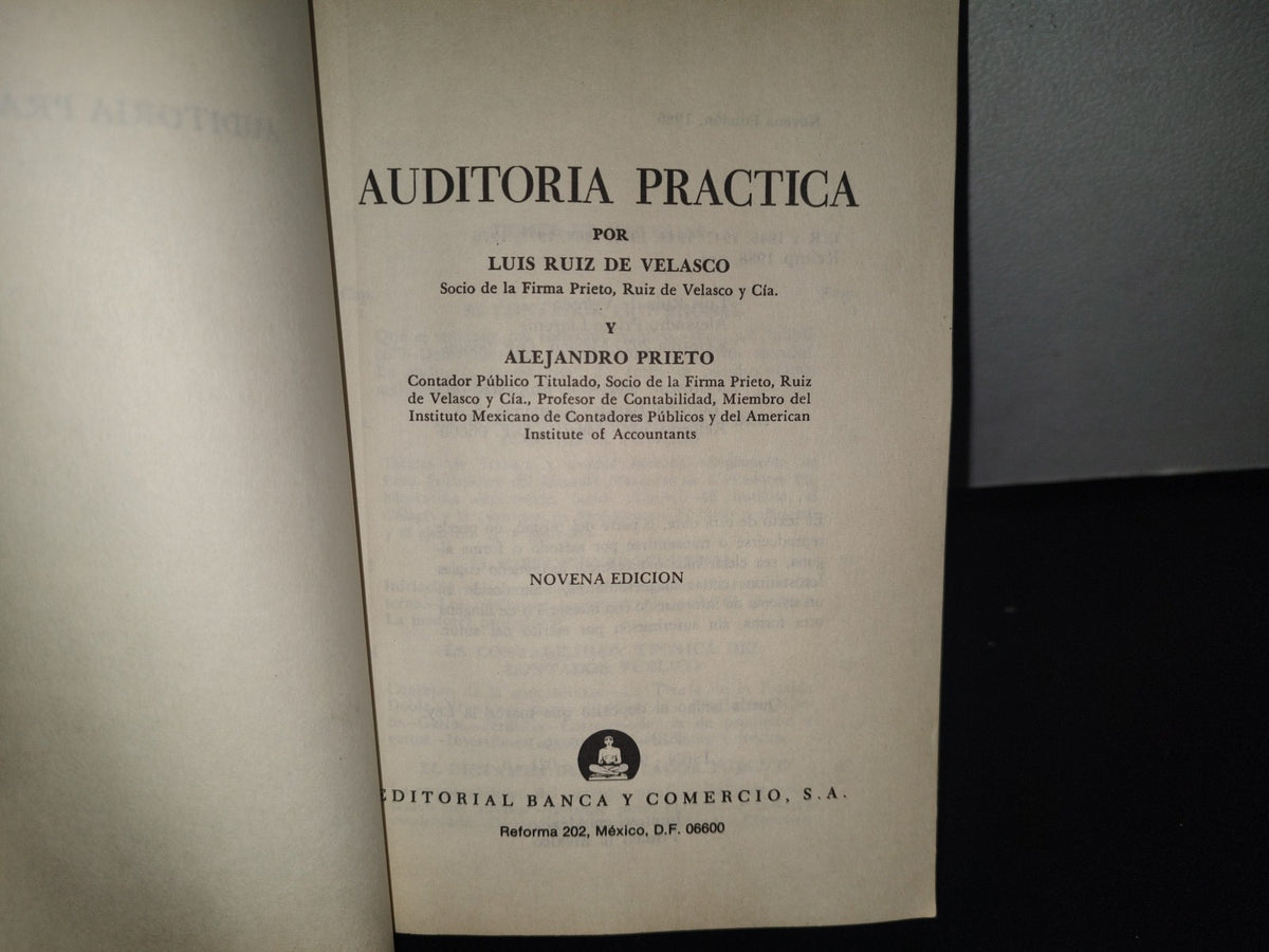 128- Auditoría Práctica - Luis Ruiz De Velasco, Alejandro Prieto