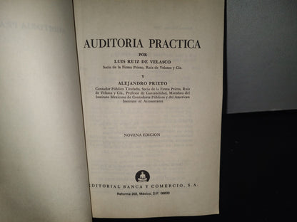128- Auditoría Práctica - Luis Ruiz De Velasco, Alejandro Prieto