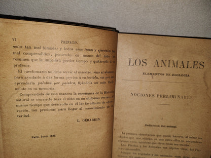 64- Los Animales. Elementos De Zoología Teórica Y Aplicada - León Gérardin - 1927
