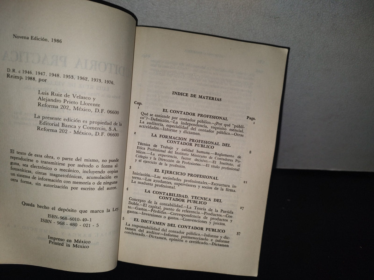 128- Auditoría Práctica - Luis Ruiz De Velasco, Alejandro Prieto