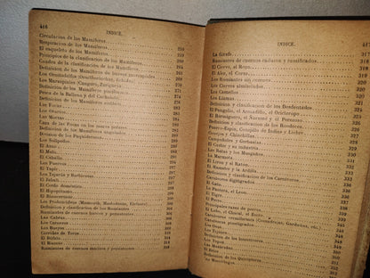 64- Los Animales. Elementos De Zoología Teórica Y Aplicada - León Gérardin - 1927