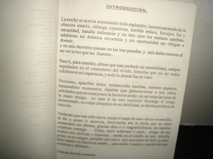 21- Nocturno Apacible Dolor - Gustavo Rivera
