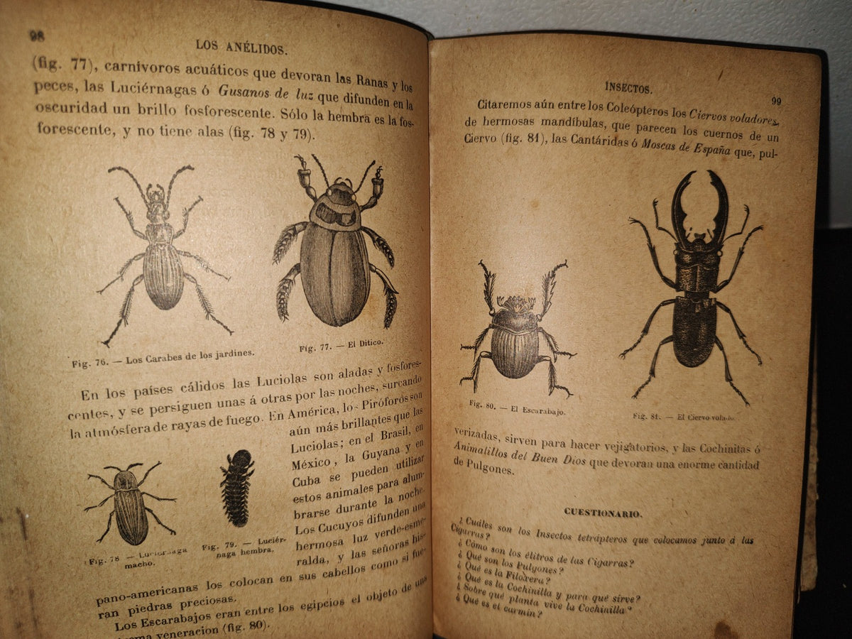 64- Los Animales. Elementos De Zoología Teórica Y Aplicada - León Gérardin - 1927