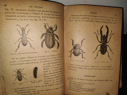 64- Los Animales. Elementos De Zoología Teórica Y Aplicada - León Gérardin - 1927