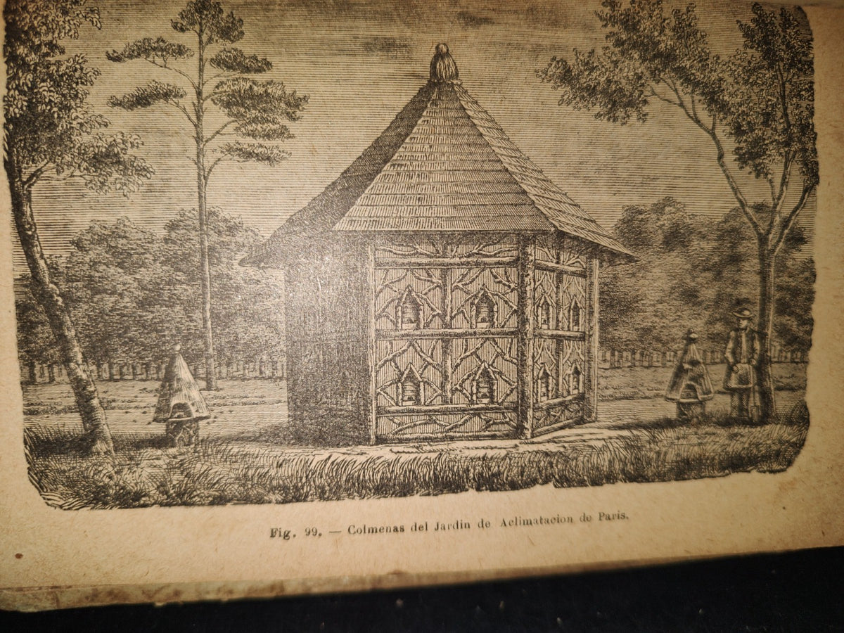 64- Los Animales. Elementos De Zoología Teórica Y Aplicada - León Gérardin - 1927