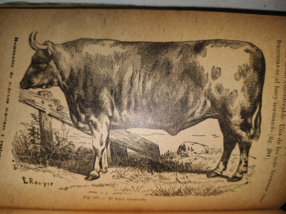 64- Los Animales. Elementos De Zoología Teórica Y Aplicada - León Gérardin - 1927