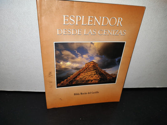 54- Esplendor Desde Las Cenizas - Hilda Morán Del Castillo - Firmado - Primera Edición 2011