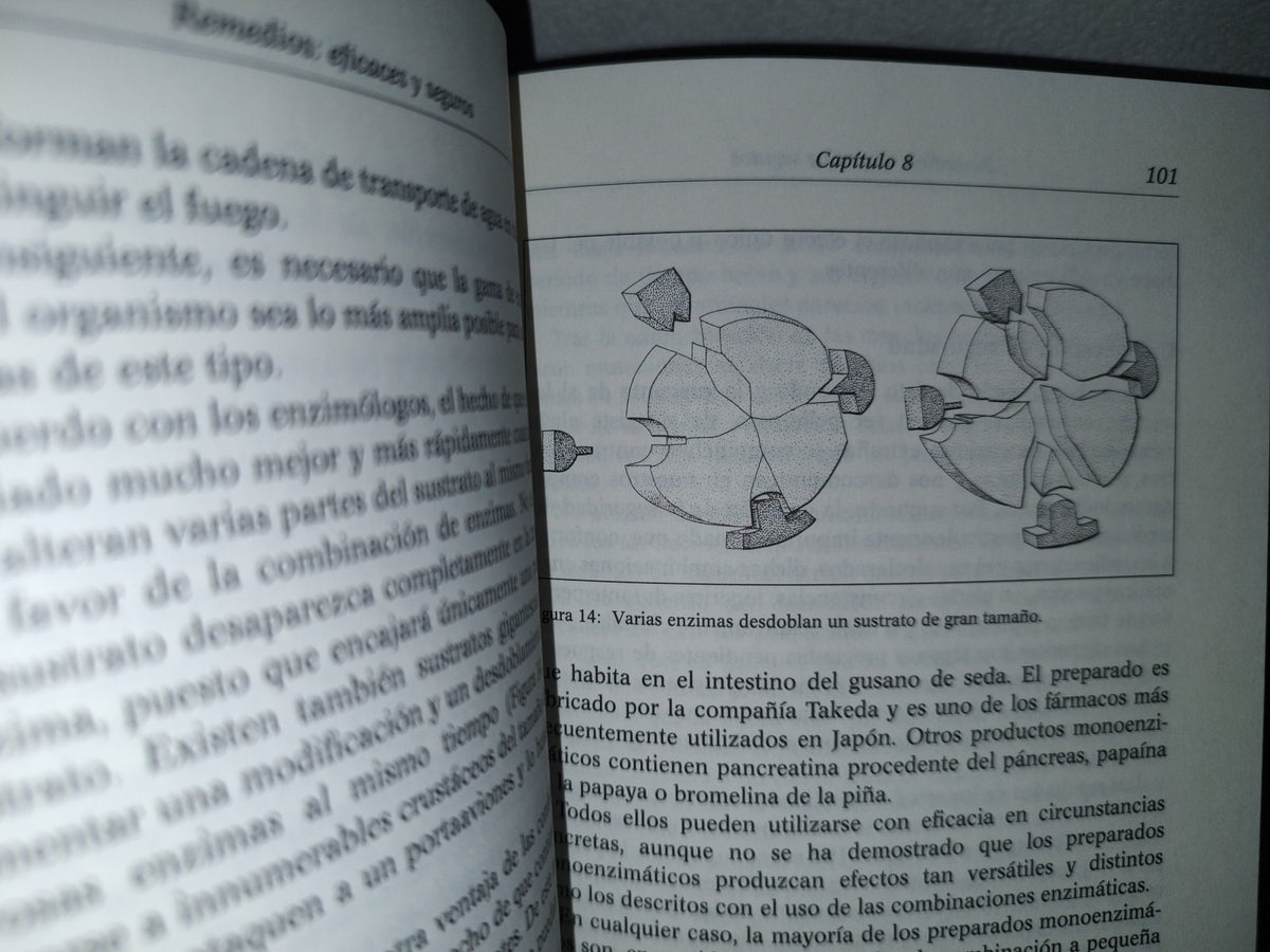 91- Enzimas. La Fuente De La Vida - D. A. López M. D.